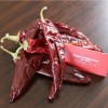 Chili Powder Through BRC Certificate Customizable Package Red Hot Chinese Chili