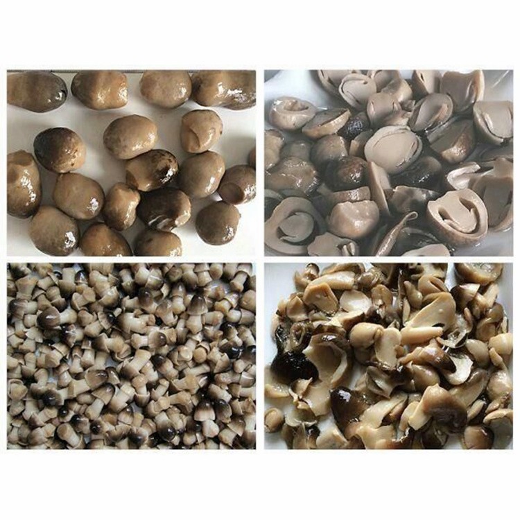 Canned Food Canned Straw Mushroom Whole in Brine