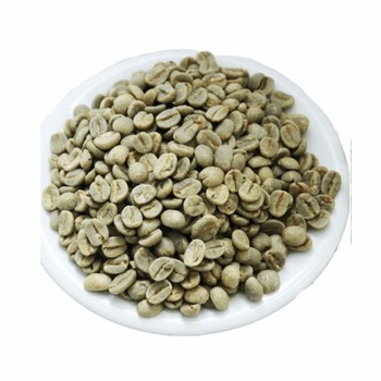 Green Coffee Beans Yunnan Origin Wholesale Direct Export Supply