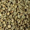Green Coffee Beans Yunnan Origin Wholesale Direct Export Supply