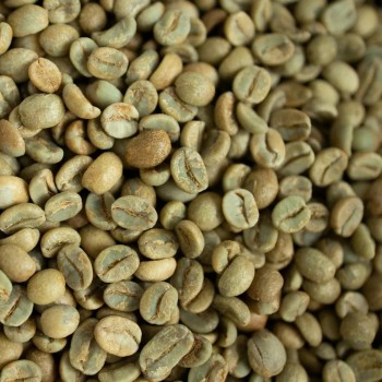 Green Coffee Beans Yunnan Origin Wholesale Direct Export Supply