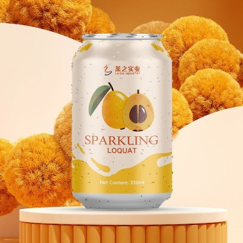 Best Quality Carbonated Drink All Size Available 500ml Carbonated Fruit Drinks in Cans