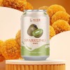 Best Quality Carbonated Drink All Size Available 500ml Carbonated Fruit Drinks in Cans