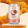 Best Quality Carbonated Drink All Size Available 500ml Carbonated Fruit Drinks in Cans