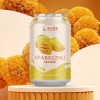 Best Quality Carbonated Drink All Size Available 500ml Carbonated Fruit Drinks in Cans