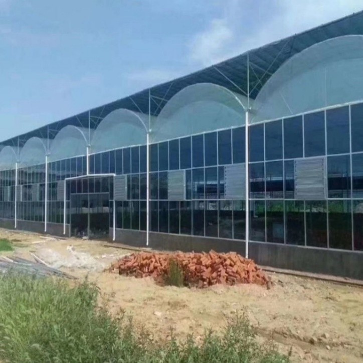 Wind-Resistant Wholesale Professional Versatile Commercial Film Greenhouse for Vegetable Cultivation
