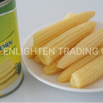 Big Canned Sweet Baby Corn From Fresh Cultivated Material