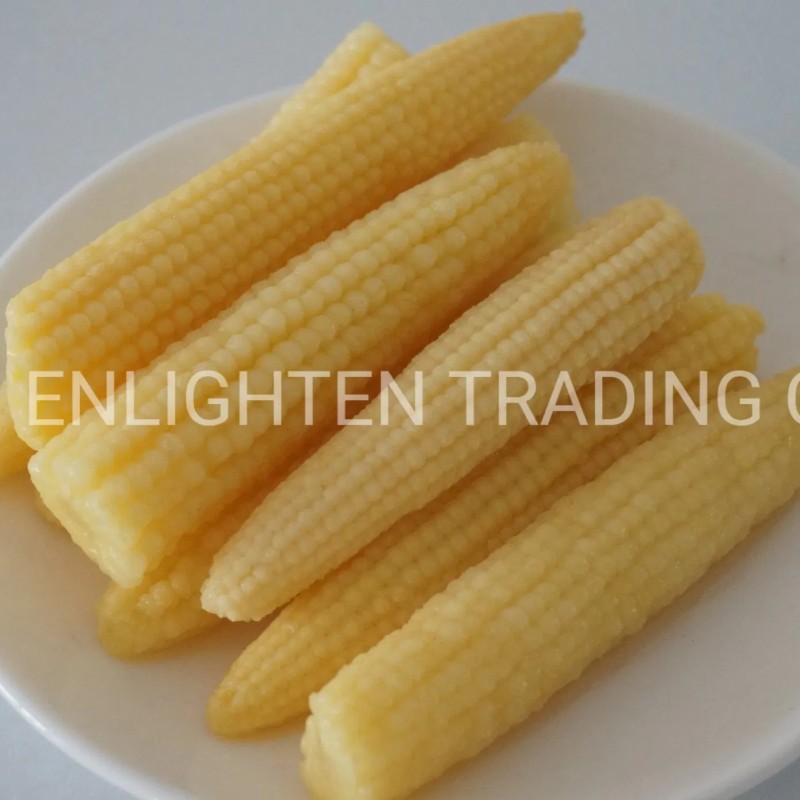 Big Canned Sweet Baby Corn From Fresh Cultivated Material