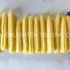Big Canned Sweet Baby Corn From Fresh Cultivated Material