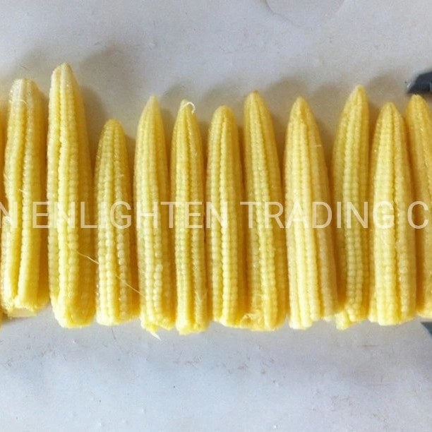 Big Canned Sweet Baby Corn From Fresh Cultivated Material