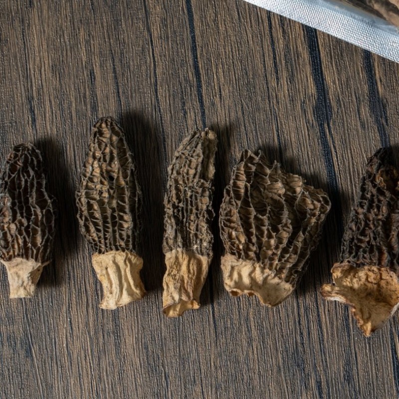 Wholesale-Grade Dried Morel Mushrooms - Specialized for Catering Hotels & Export
