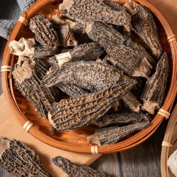 Wholesale-Grade Dried Morel Mushrooms - Specialized for Catering Hotels & Export
