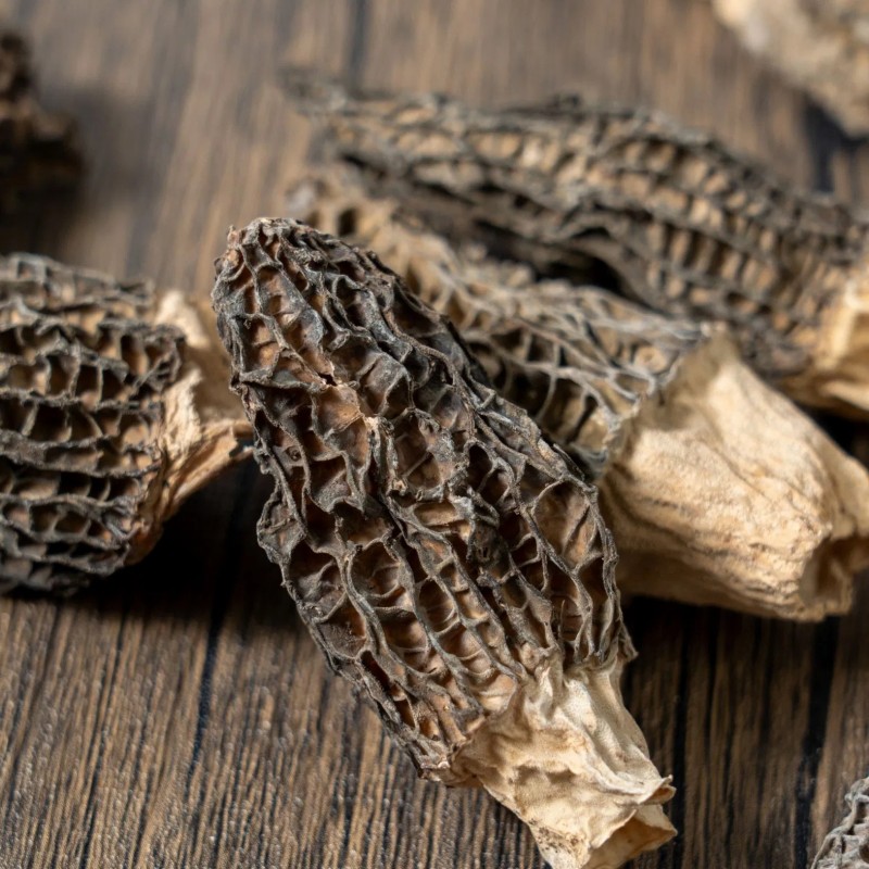 Wholesale-Grade Dried Morel Mushrooms - Specialized for Catering Hotels & Export