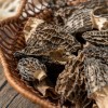 Wholesale-Grade Dried Morel Mushrooms - Specialized for Catering Hotels & Export