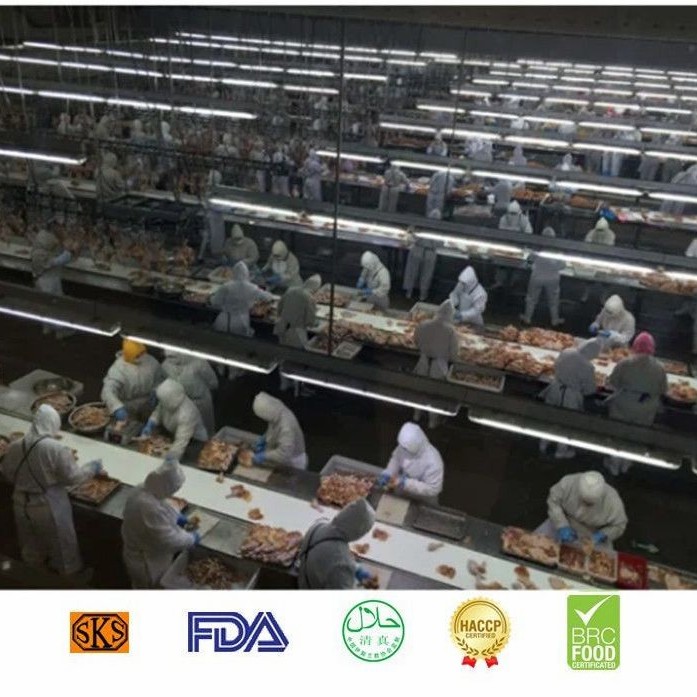 Frozen Chicken Breast Meat with Halal Certification