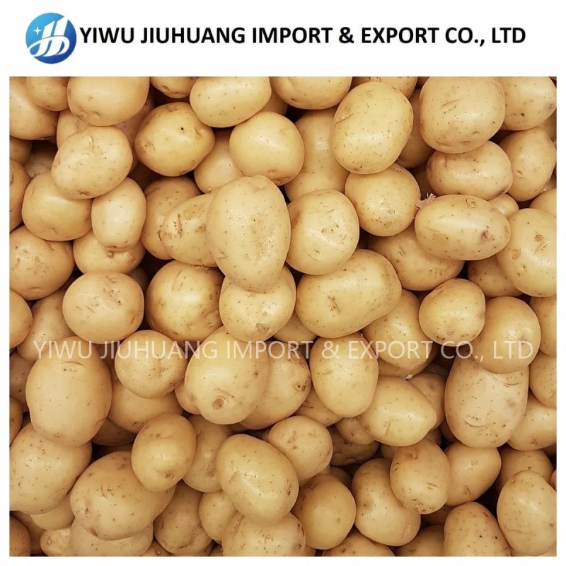 Halal Crispy Golden Crunchy Tasty Multiple Size OEM Fast Cooking Delicious Perfect Bulk Sale IQF Frozen French Fries