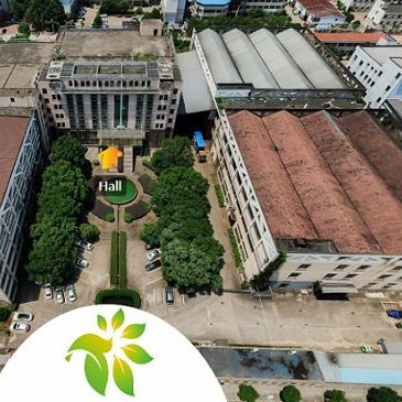 China Green Tea Gunpowder 3505 Clean Gunpowder Green Tea Chinese Green Tea Price Loose Leaf Tea The Vert De Chine