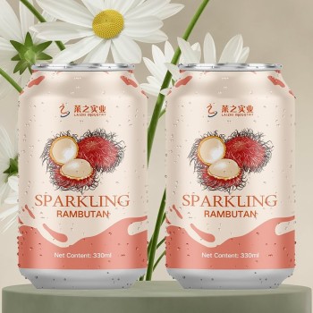 Custom Private Label 330ml 500ml Natural Fruity Apple Orange Mixer Flavor Carbonated Beverage Acid Soft Drinks in Cans Sugar