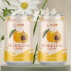Custom Private Label 330ml 500ml Natural Fruity Apple Orange Mixer Flavor Carbonated Beverage Acid Soft Drinks in Cans Sugar