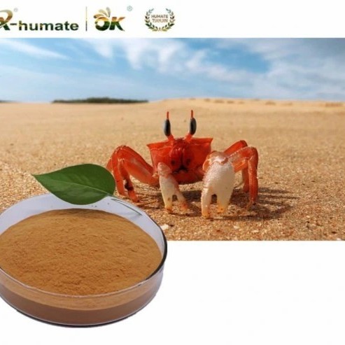 98% Concentration Biostimulation Chitosan Oligosaccharride