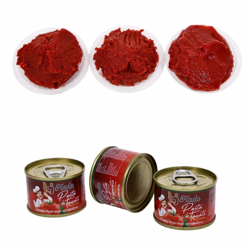 Canned Tomato Sauce Factory Price 28-30% 2025 Crop