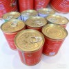 Canned Tomato Sauce Factory Price 28-30% 2025 Crop