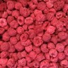 Premium Freeze Dried Pure Whole Raspberry for Healthy Snacking