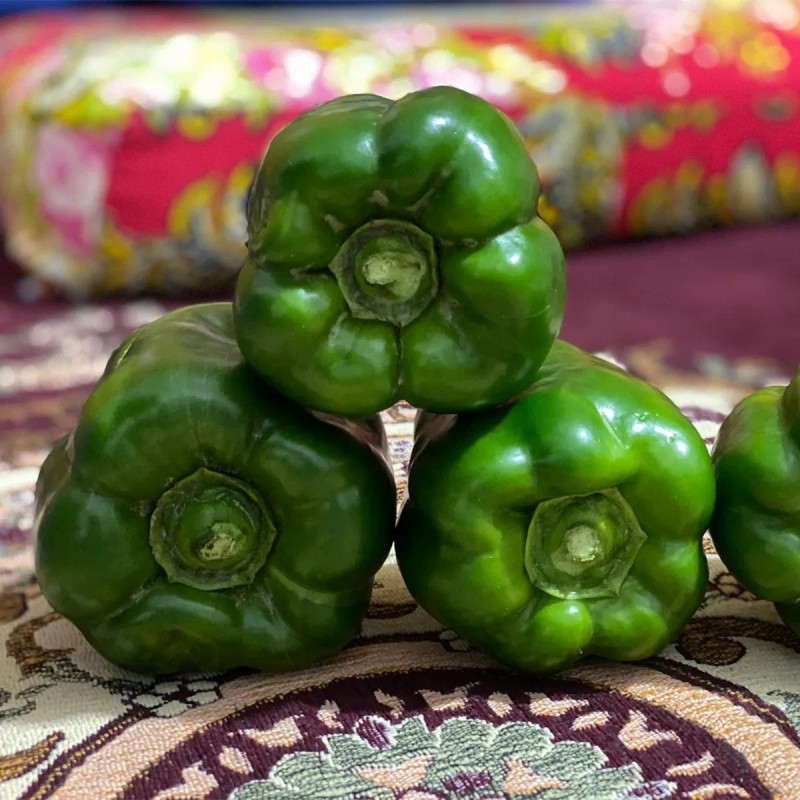 Hot Sale Hybrid F1 Deep Green Sweet Pepper Seeds for Growing-SL04