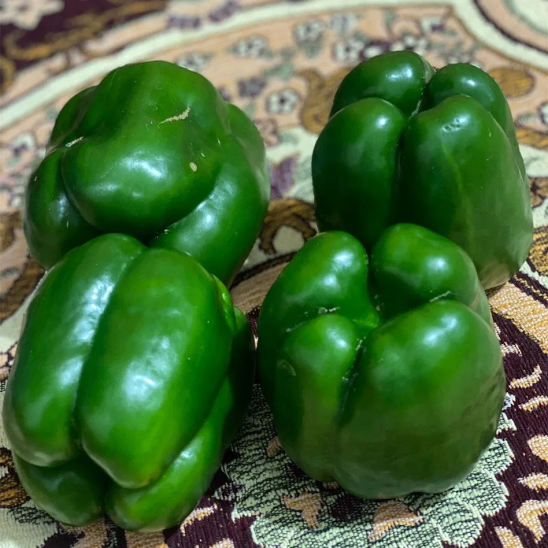 Hot Sale Hybrid F1 Deep Green Sweet Pepper Seeds for Growing-SL04