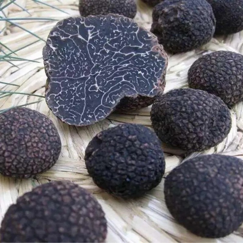 China Supplier Dehydrated Sliced Truffle Craterellus Cornucopioides Dried Black Truffle