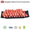 Premium Mini Sausages for Global Culinary Supply Chains