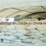 Ekato Monocalcium Phosphate 22% (feed grade MCP)