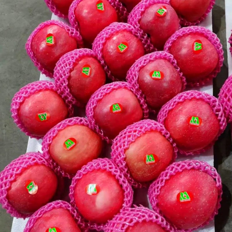 Nepal Full Red Color Paper Bag FUJI Apple