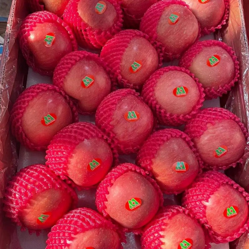 Nepal Full Red Color Paper Bag FUJI Apple