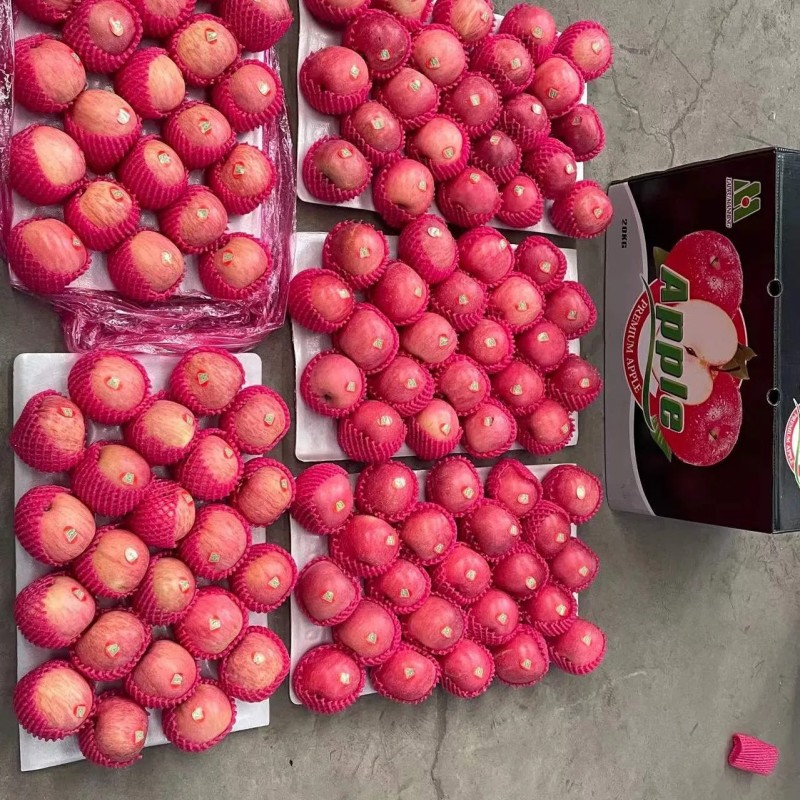 Nepal Full Red Color Paper Bag FUJI Apple