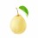 China New Crop Fresh Ya Pear Chinese Fresh Pear Fruit Juicy Pear