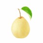 China New Crop Fresh Ya Pear Chinese Fresh Pear Fruit Juicy Pear