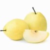 China New Crop Fresh Ya Pear Chinese Fresh Pear Fruit Juicy Pear