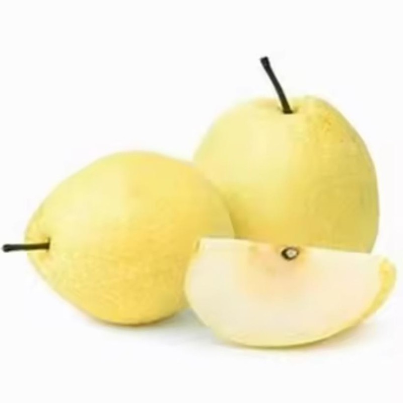 China New Crop Fresh Ya Pear Chinese Fresh Pear Fruit Juicy Pear