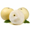 China New Crop Fresh Ya Pear Chinese Fresh Pear Fruit Juicy Pear