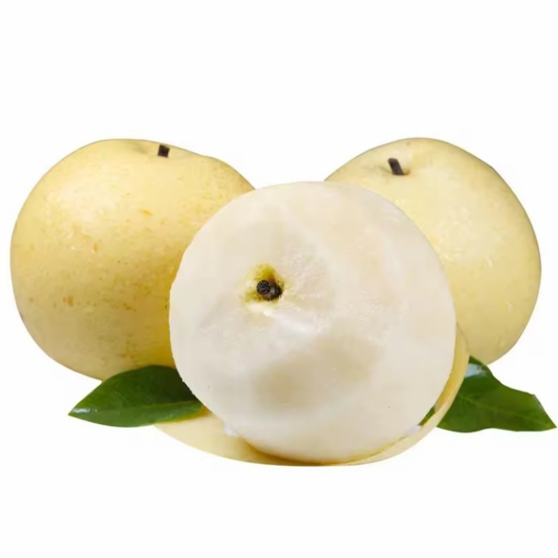 China New Crop Fresh Ya Pear Chinese Fresh Pear Fruit Juicy Pear