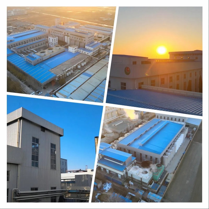 Food Grade Modified Tapioca Starch Acetylated Distarch Phosphate for Fish Ball and Meat Ball