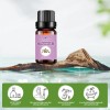 Natural Fresh Thyme Essential Oil New Pure for Cosmetic