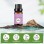 Natural Fresh Thyme Essential Oil New Pure for Cosmetic