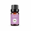 Natural Fresh Thyme Essential Oil New Pure for Cosmetic
