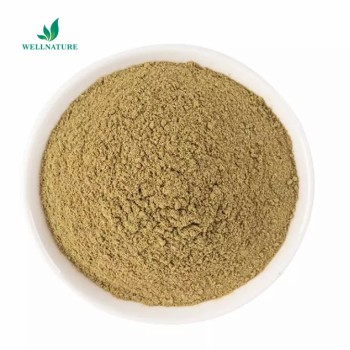 Factory Bulk Dried Oregano Leaf Leaves Powder Oregano Extract Powder