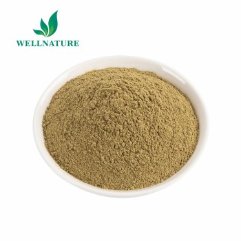 Factory Bulk Dried Oregano Leaf Leaves Powder Oregano Extract Powder