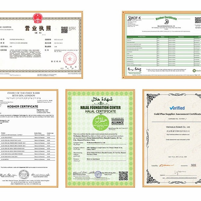 Factory Bulk Dried Oregano Leaf Leaves Powder Oregano Extract Powder