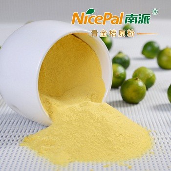 Natural Spray Dried Lime Fruit Powder / Lime Juice Powder / Lime Drink Powder