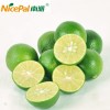 Natural Spray Dried Lime Fruit Powder / Lime Juice Powder / Lime Drink Powder